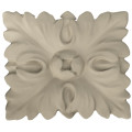 Paterae