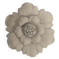Paterae