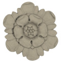 Paterae