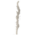Palm (Handed Pair)