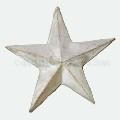 Paterae (5 pt Star)