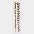 Pearl Bead (Tapering)