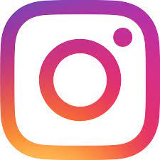 Instagram Logo- plaster domes